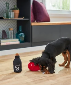 Frisco Magic Potions Plush Squeaky Dog Toy -Frisco Sales 2024 265618 PT3. SY630 V1620939183