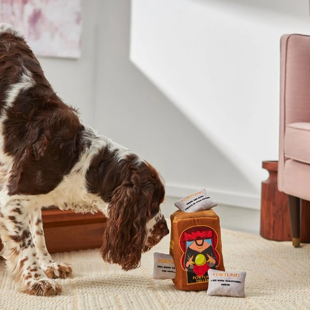 Frisco Magic Fortune Teller Hide & Seek Puzzle Plush Squeaky Dog Toy 6 Frisco Magic Fortune Teller Hide & Seek Puzzle Plush Squeaky Dog Toy - Image 4