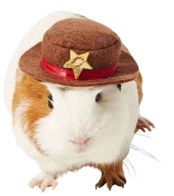 Frisco Cowboy Guinea Pig Costume Hat, One Size 3 Frisco Cowboy Guinea Pig Costume Hat, One Size