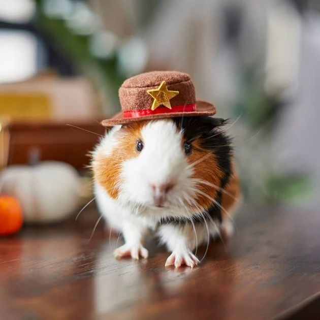 Frisco Cowboy Guinea Pig Costume Hat, One Size 6 Frisco Cowboy Guinea Pig Costume Hat, One Size - Image 4