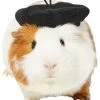 Frisco French Beret Guinea Pig Costume Hat, One Size 1 Frisco French Beret Guinea Pig Costume Hat, One Size -Frisco Sales 2024 265891 MAIN. SY630 V1624305182