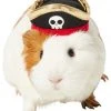 Frisco Pirate Guinea Pig Costume Hat, One Size -Frisco Sales 2024 265893 MAIN. SY630 V1624305451