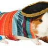 Frisco Serape Guinea Pig Costume, One Size -Frisco Sales 2024 265895 MAIN. SY630 V1624304603