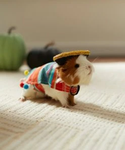 Frisco Serape Guinea Pig Costume, One Size -Frisco Sales 2024 265895 PT8. SY630 V1624341275