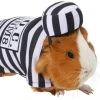 Frisco Prisoner Guinea Pig Costume, One Size -Frisco Sales 2024 265897 MAIN. SY630 V1624304868