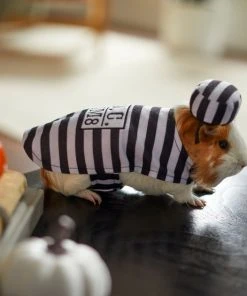 Frisco Prisoner Guinea Pig Costume, One Size -Frisco Sales 2024 265897 PT8. SY630 V1624339171