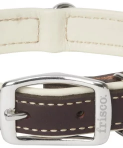 Frisco Two Tone Top Grain Leather Collar