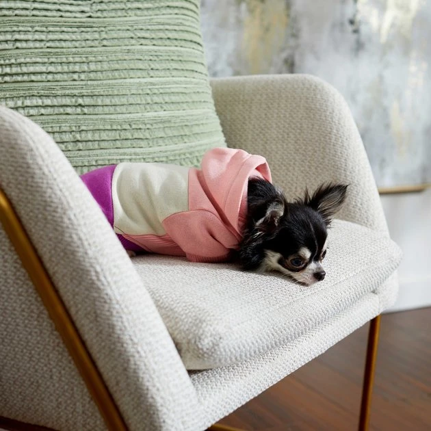 Frisco Colorblock Dog & Cat Hoodie with Sleeves 9 Frisco Colorblock Dog & Cat Hoodie with Sleeves - Image 7