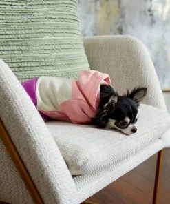 Frisco Colorblock Dog & Cat Hoodie with Sleeves 17 Frisco Colorblock Dog & Cat Hoodie with Sleeves -Frisco Sales 2024 267963 PT8. SY630 V1629767757