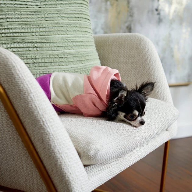 Frisco Colorblock Dog & Cat Hoodie with Sleeves 10 Frisco Colorblock Dog & Cat Hoodie with Sleeves - Image 8