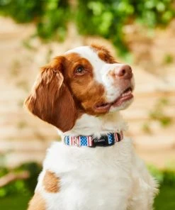 Frisco Americana Dog Collar -Frisco Sales 2024 269430 PT3. SY630 V1619535733