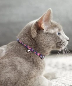 Frisco Midnight Floral Cat Collar, 8-12 Inches -Frisco Sales 2024 269490 PT4. SY630 V1617037508