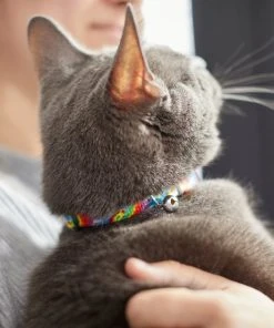 Frisco Tie Dye Cat Collar, 8-12 Inches -Frisco Sales 2024 269494 PT4. SY630 V1617037394