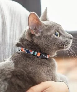 Frisco Spring Reef Life Collar, 8-12 Inches -Frisco Sales 2024 269500 PT4. SY630 V1617037320