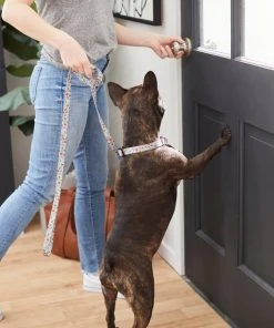 Frisco Traffic Signs Dog Leash 7 Frisco Traffic Signs Dog Leash -Frisco Sales 2024 269506 PT3. SY630 V1619535428