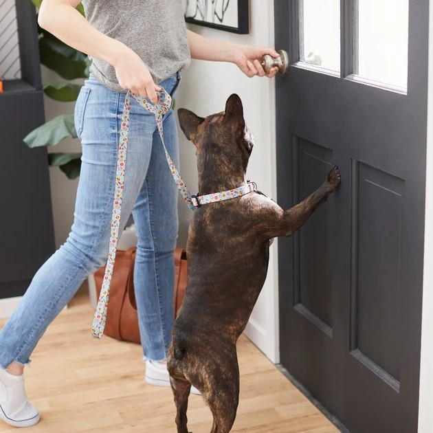 Frisco Traffic Signs Dog Leash 5 Frisco Traffic Signs Dog Leash - Image 3