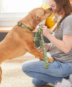 Frisco Tropical Bananas Dog Leash -Frisco Sales 2024 269522 PT3. SY630 V1619534324