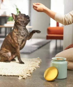 Frisco Modern Gold Rim Ceramic Treat Jar, 5 Cups -Frisco Sales 2024 270182 PT2. SY630 V1620761610