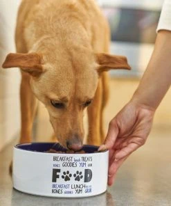 Frisco Food & Paw Non-skid Ceramic Dog Bowl 10 Frisco Food & Paw Non-skid Ceramic Dog Bowl -Frisco Sales 2024 270194 PT2. SY630 V1620761622