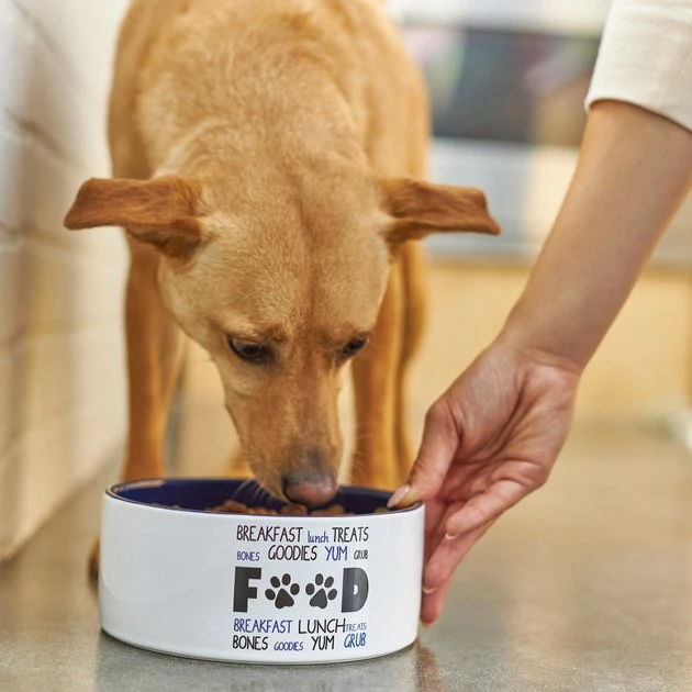 Frisco Food & Paw Non-skid Ceramic Dog Bowl 5 Frisco Food & Paw Non-skid Ceramic Dog Bowl - Image 3