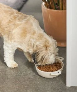 Frisco Dog Face Non-skid Ceramic Cat & Dog Bowl -Frisco Sales 2024 270226 PT2. SY630 V1620762156