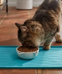 Frisco Cat Face Non-skid Ceramic Dog Bowl, White, 1.25 Cups -Frisco Sales 2024 270229 PT3. SY630 V1620762318