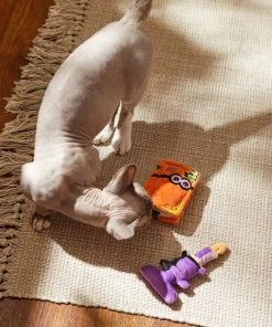 Frisco Halloween Monster Book & Candle Plush Cat Toy with Catnip, 2 count -Frisco Sales 2024 270321 PT3. SY630 V1624824924