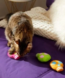 Frisco Colorful Skulls Plush Cat Toy with Catnip, 3 count -Frisco Sales 2024 270325 PT3. SY630 V1630350992