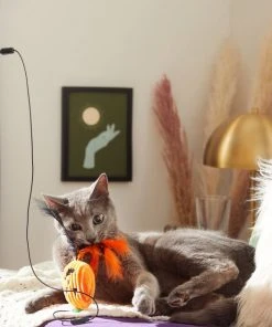 Frisco Halloween Teaser Wand Cat Toy with Catnip, 3 count -Frisco Sales 2024 270341 PT3. SY630 V1624817557