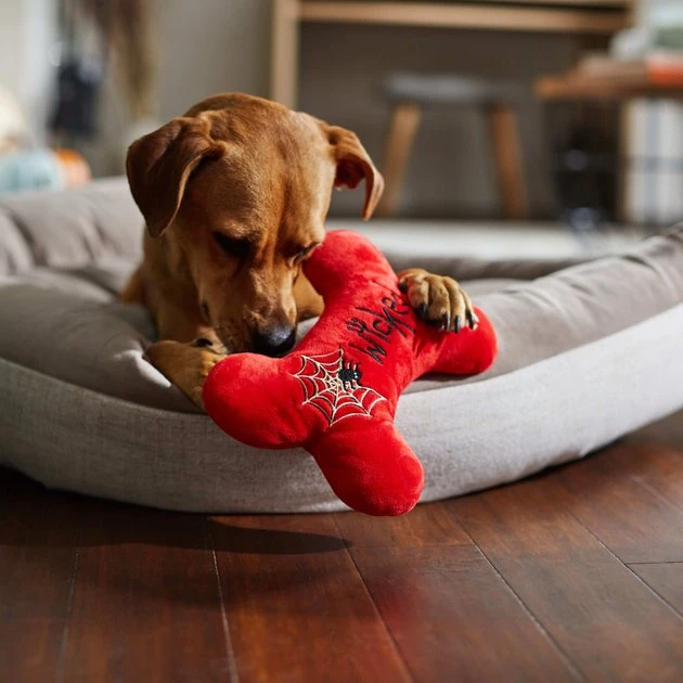 Frisco Wicked Cute Bone Reversible Plush Squeaky Dog Toy 6 Frisco Wicked Cute Bone Reversible Plush Squeaky Dog Toy - Image 4