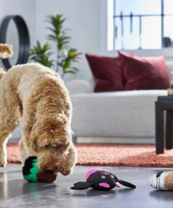 Frisco Cupcakes Plush Squeaky Dog Toy, 3 count -Frisco Sales 2024 270367 PT3. SY630 V1624817674