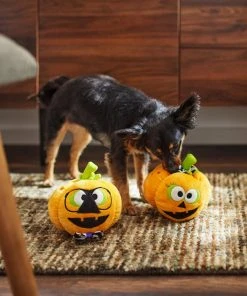 Frisco Halloween Nerdy Jack-o-Lanterns Plush Squeaky Dog Toy, 2 count 7 Frisco Halloween Nerdy Jack-o-Lanterns Plush Squeaky Dog Toy, 2 count -Frisco Sales 2024 270431 PT3. SY630 V1624817796