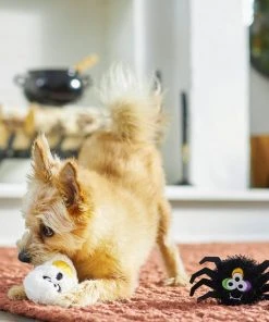 Frisco Halloween Spider & Ghost Plush Squeaky Dog Toy, 2 count 7 Frisco Halloween Spider & Ghost Plush Squeaky Dog Toy, 2 count -Frisco Sales 2024 270433 PT3. SY630 V1624817501