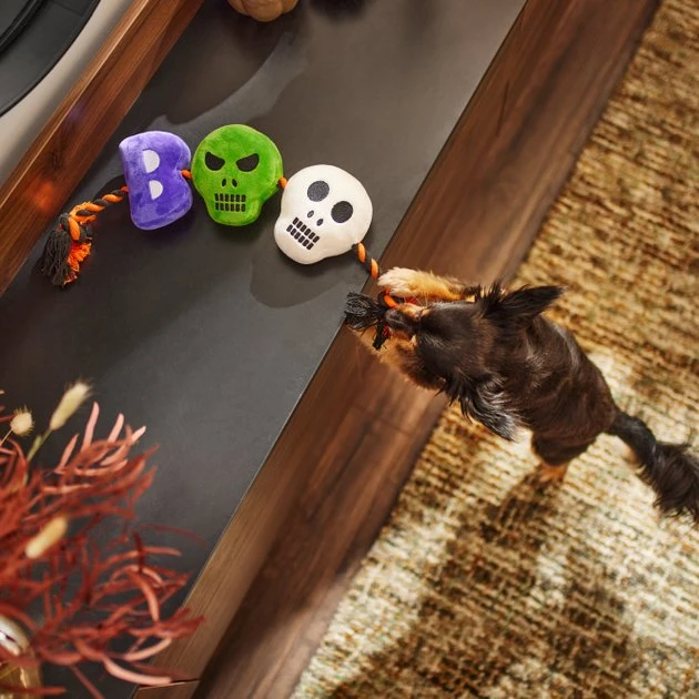 Frisco Halloween Boo! Plush with Rope Squeaky Dog Toy 5 Frisco Halloween Boo! Plush with Rope Squeaky Dog Toy - Image 3