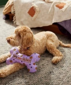 Frisco Halloween My First Halloween Bone Reversible Plush Squeaky Dog Toy 9 Frisco Halloween My First Halloween Bone Reversible Plush Squeaky Dog Toy -Frisco Sales 2024 270452 PT3. SY630 V1624817314