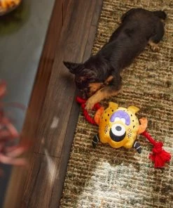 Frisco Friendly Monster Plush with Rope Squeaky Dog Toy -Frisco Sales 2024 270474 PT3. SY630 V1624824917