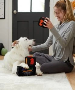 Frisco Halloween 30 Days of Halloween Countdown Blocks Plush Squeaky Dog Toy, 3 count -Frisco Sales 2024 270494 PT3. SY630 V1624817483