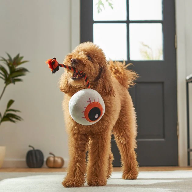 Frisco Halloween Spooky Eyeball Plush with Rope Squeaky Dog Toy 5 Frisco Halloween Spooky Eyeball Plush with Rope Squeaky Dog Toy - Image 3