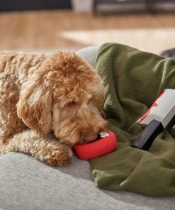 Frisco Halloween Vampire Teeth & Knife Latex Squeaky Dog Toy, 2 count -Frisco Sales 2024 270512 PT3. SY630 V1624817093