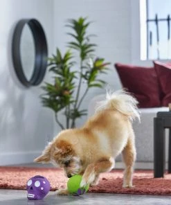 Frisco Halloween Sugar Skulls Latex Squeaky Dog Toy, 2 count -Frisco Sales 2024 270518 PT3. SY630 V1624825050