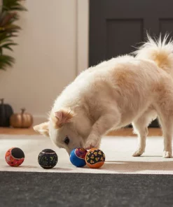 Frisco Halloween Glow in the Dark Fetch Squeaky Tennis Ball Dog Toy, 4 count -Frisco Sales 2024 270525 PT3. SY630 V1624824980