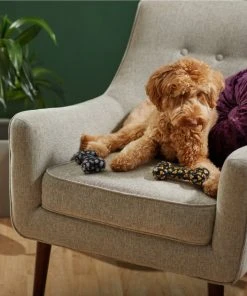 Frisco Halloween Candy Corn & Ghosts TPR Bone Squeaky Dog Toy, 2 count 7 Frisco Halloween Candy Corn & Ghosts TPR Bone Squeaky Dog Toy, 2 count -Frisco Sales 2024 270529 PT3. SY630 V1624817291