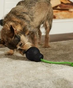Frisco Skull with Rope Rubber Dog Toy -Frisco Sales 2024 270531 PT3. SY630 V1624817785
