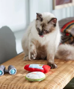 Frisco Camping Compass & Lantern Plush Cat Toy with Catnip, 2 count -Frisco Sales 2024 270985 PT3. SY630 V1625009053