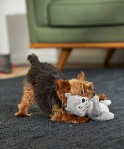 Frisco Camping Squirrel Plush Squeaky Dog Toy 7 Frisco Camping Squirrel Plush Squeaky Dog Toy -Frisco Sales 2024 271001 PT3. SY630 V1625009206