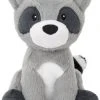 Frisco Camping Raccoon Plush Squeaky Dog Toy