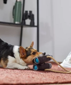 Frisco Camping Binoculars Plush with Rope Squeaky Dog Toy 7 Frisco Camping Binoculars Plush with Rope Squeaky Dog Toy -Frisco Sales 2024 271009 PT3. SY630 V1625009167