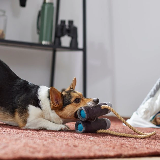 Frisco Camping Binoculars Plush with Rope Squeaky Dog Toy 5 Frisco Camping Binoculars Plush with Rope Squeaky Dog Toy - Image 3