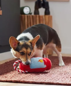 Frisco Camping Lantern Plush with Rope Squeaky Dog Toy -Frisco Sales 2024 271013 PT3. SY630 V1625160766