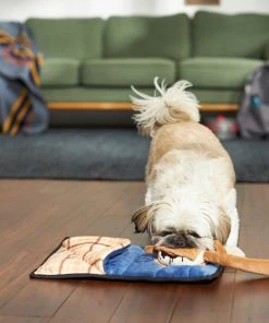 Frisco Camping Smores & Sleeping Bag Flat Plush Squeaky Dog Toy, 2 count -Frisco Sales 2024 271018 PT3. SY630 V1625009010